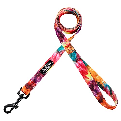 Tie Dye Dog Collar Pet Funny Dog Leash Set for Small Medium Large Dogs Tie Dye Collars (S(9.8'' - 12''))